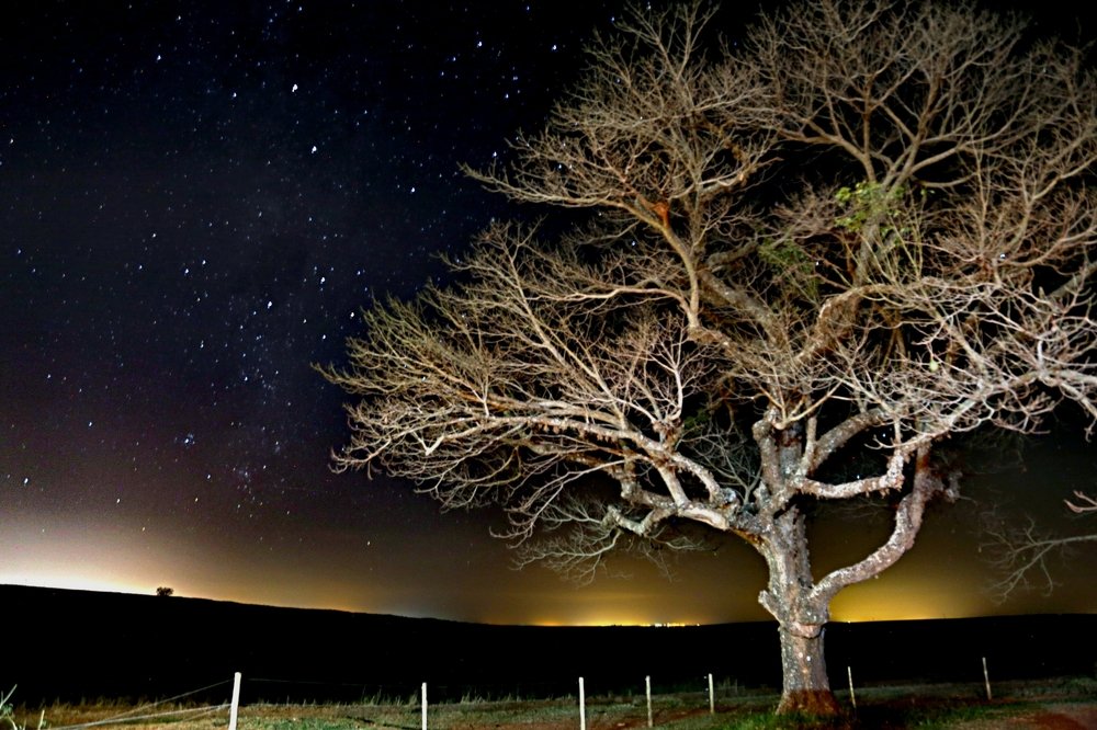 Photograph by Fabio de Carvalho