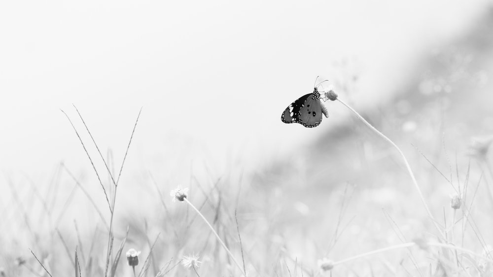 Фотография автора Didik Hermansiah