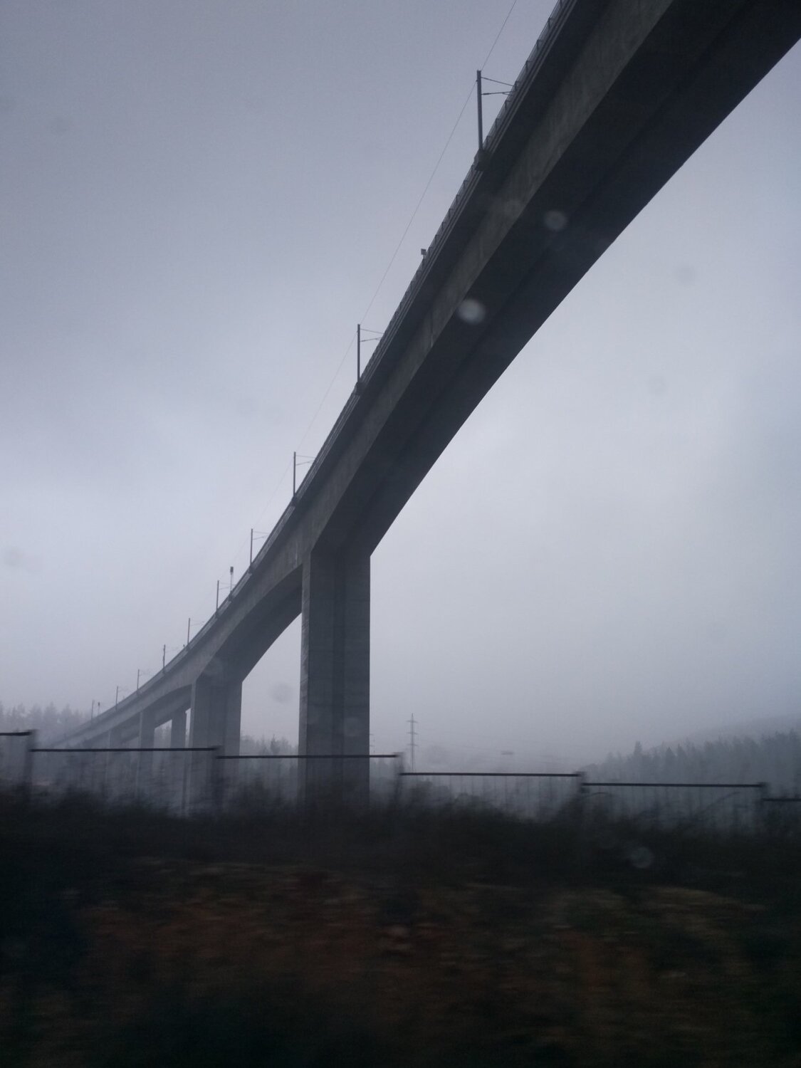 Photo #4833678