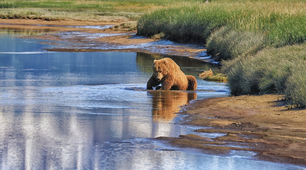 Photograph by Helen McLain