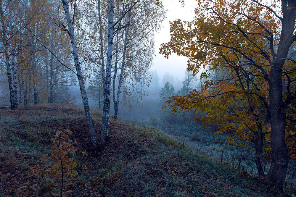 Октябрьский рассвет