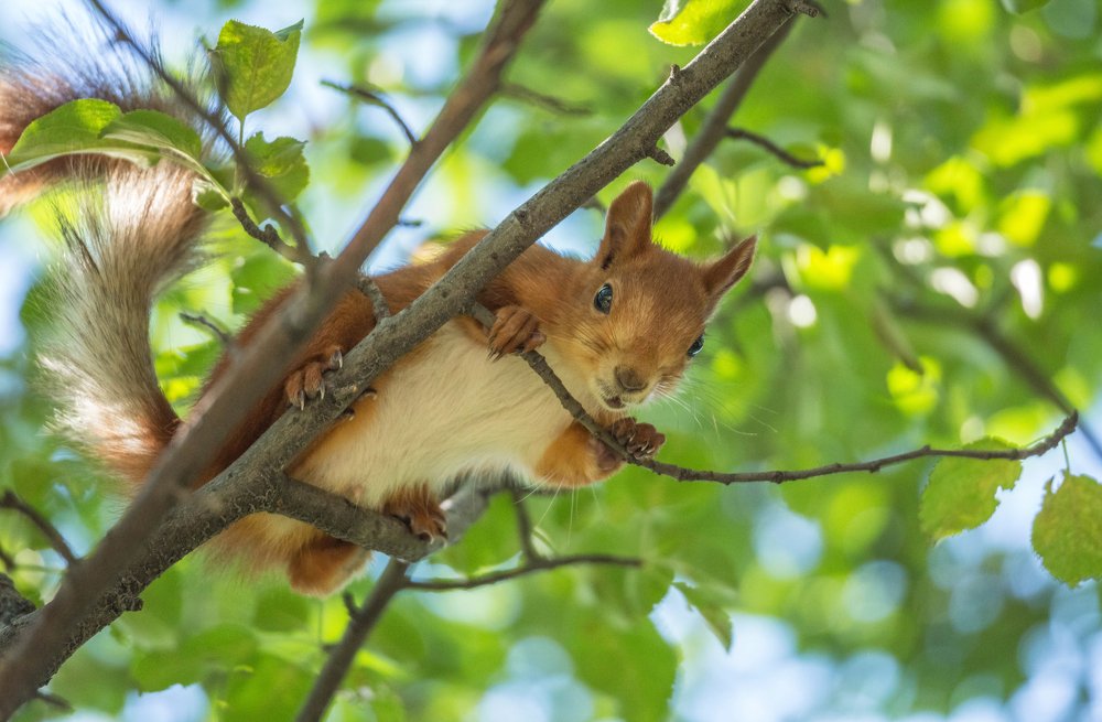 Photograph by Марат Рысбеков