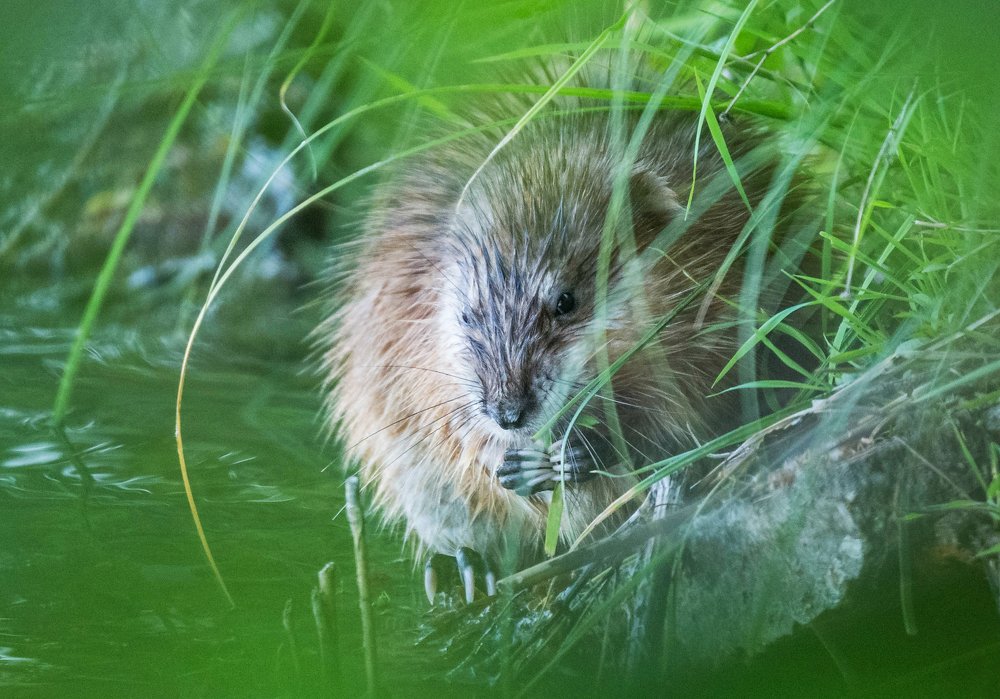 Photograph by Марат Рысбеков