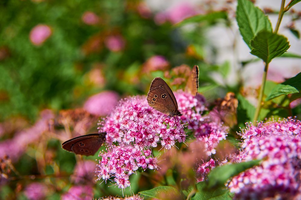 Фотография автора Игорь Игоревич