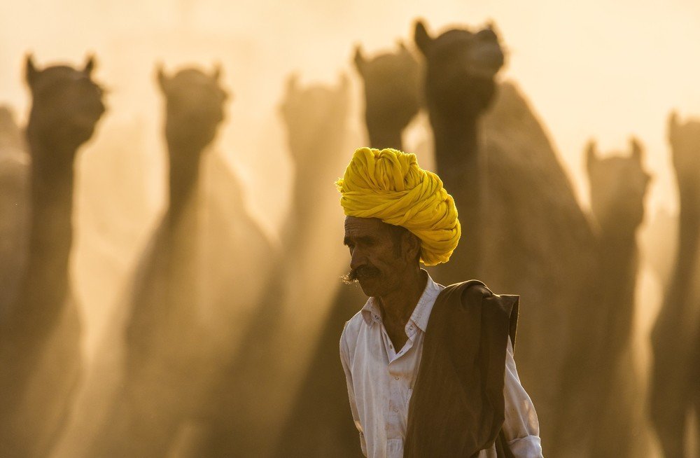 Фотография автора Zubair Irshad