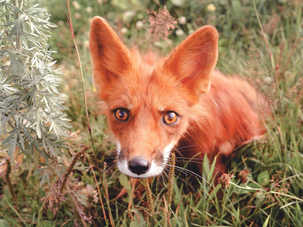 Photograph by Оксана Зверева