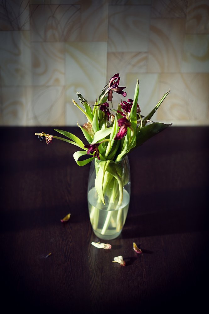 Красивое увядание