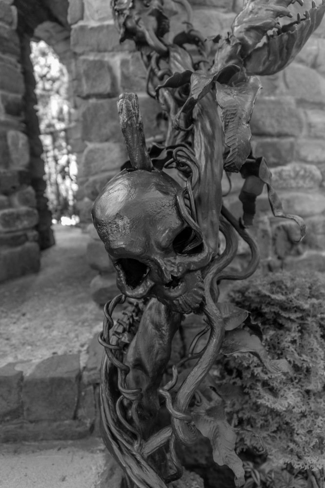 Фотография автора Игорь Игоревич