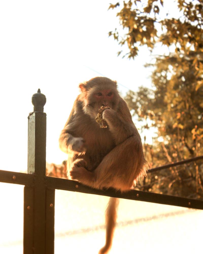 Photograph by Aditya Kumar Sahoo