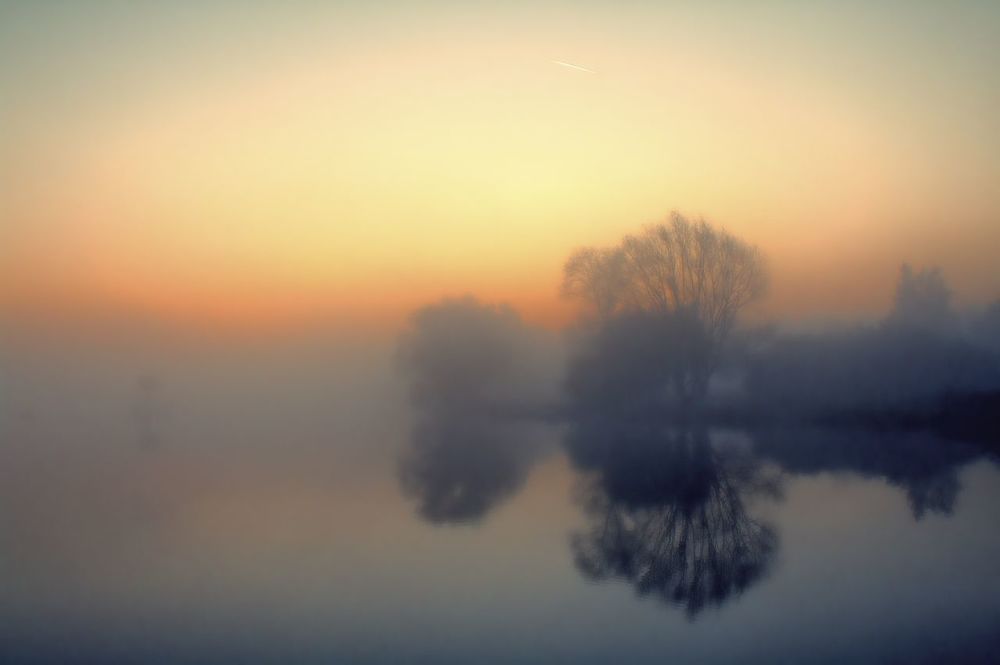 Photograph by Ewa Marlena Całkosińska-Kajzer