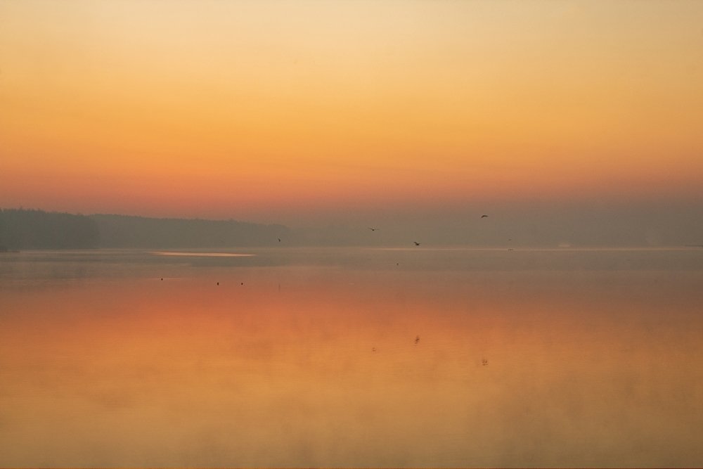 Photograph by Ewa Marlena Całkosińska-Kajzer