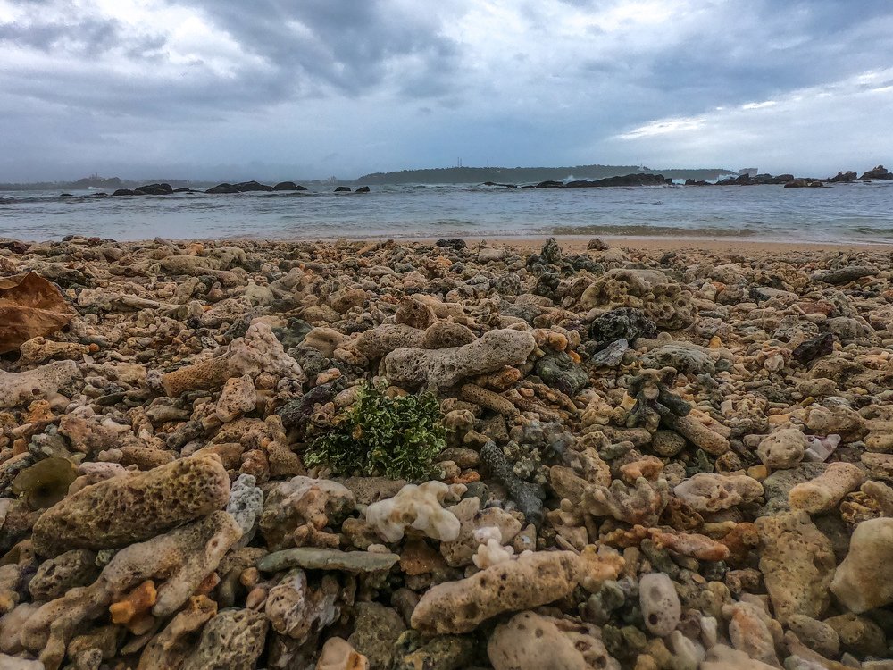 Galle Beach - sri lanka