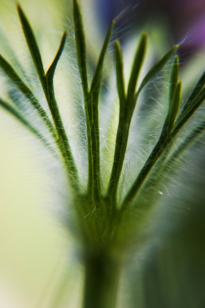 Photograph by Юлия Коротких