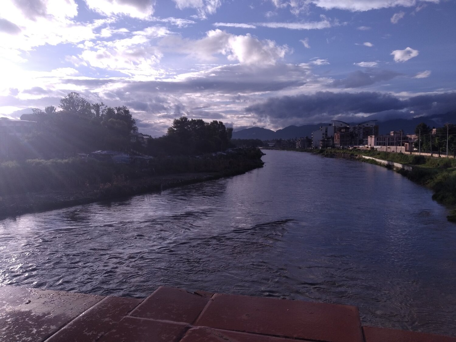 Photo #4833991
