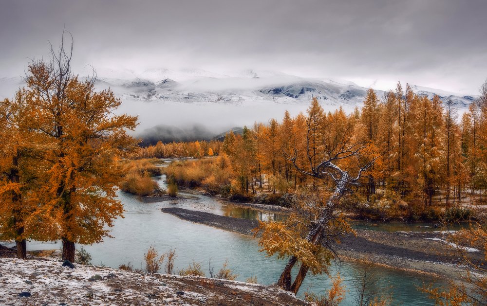 Осень в тополиной роще...