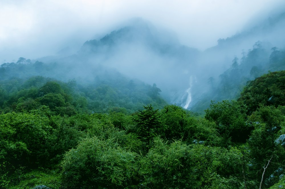 Photograph by Shovan Sam