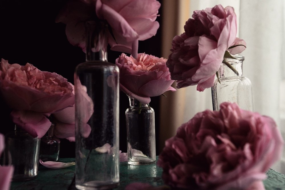 Photograph by Валерия Левшина