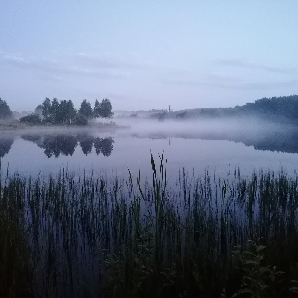 Photograph by Екатерина Супраненок