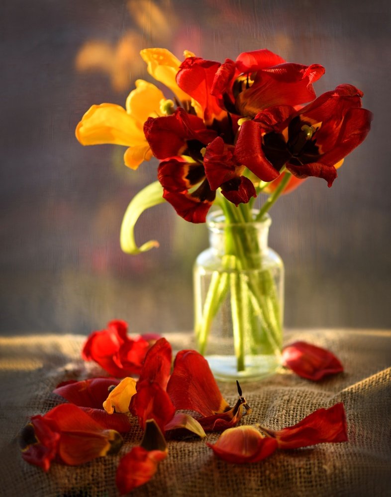 Photograph by Ольга Найденова