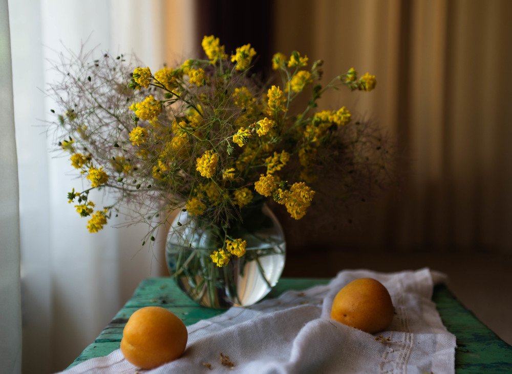 Photograph by Валерия Левшина