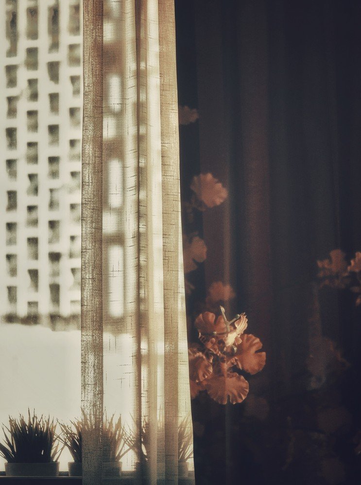 Photograph by Namrata Vedi