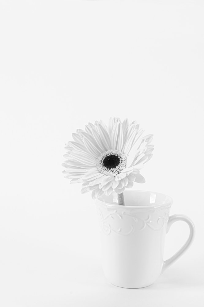 Photograph by Alejandro Letran