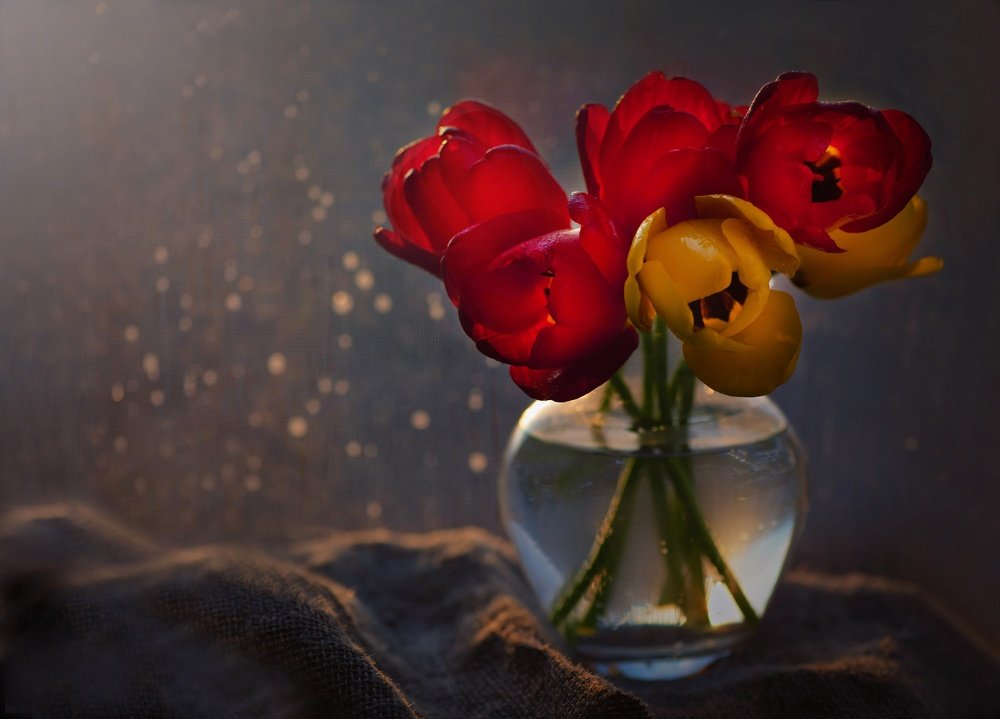 Photograph by Ольга Найденова