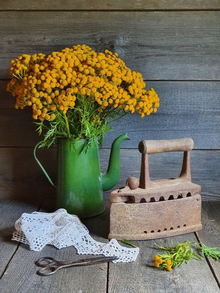 Photograph by Нина