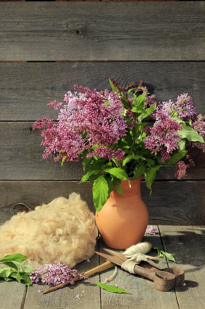 Photograph by Нина