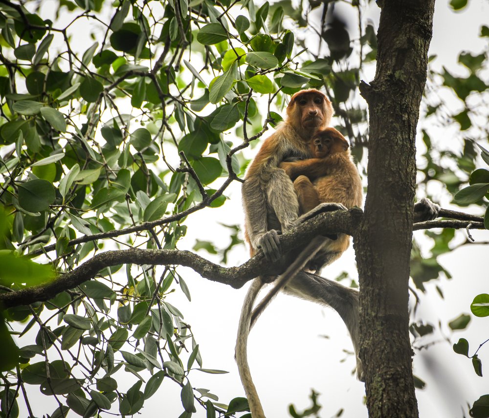 Photograph by Erickson Yohannan