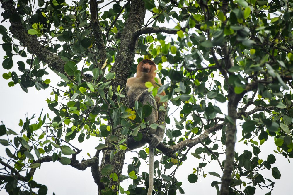 Photograph by Erickson Yohannan