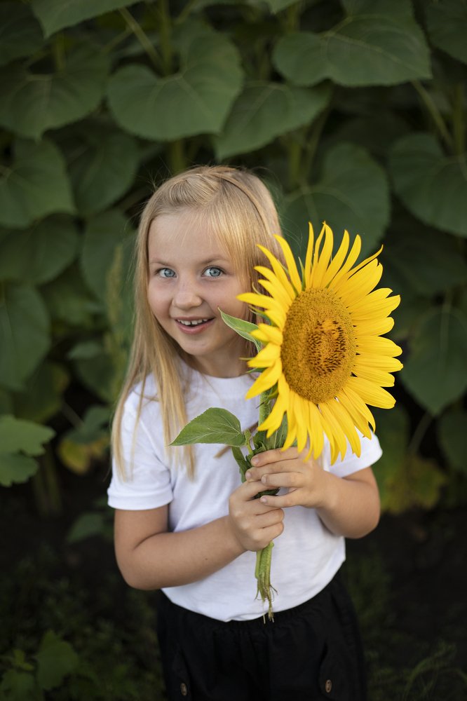 Photograph by Анастасия Кравцова