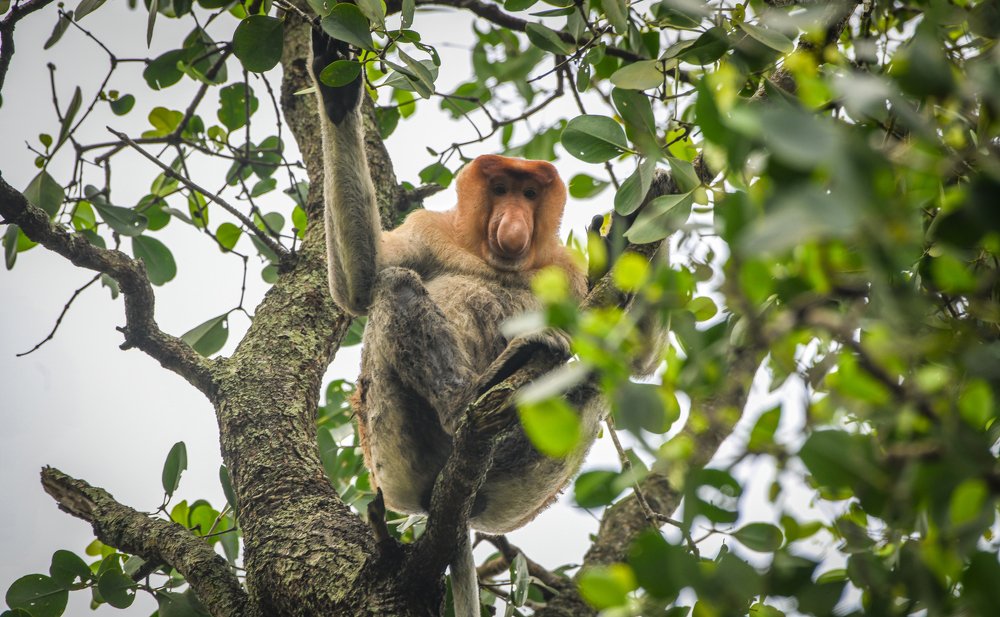 Photograph by Erickson Yohannan
