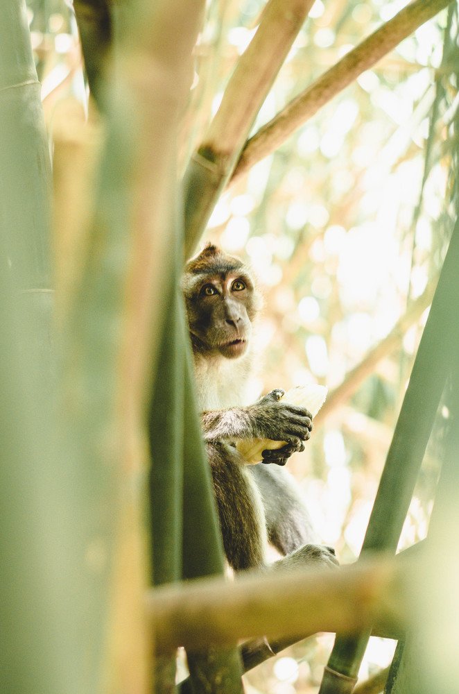 Photograph by Arjie Quiampao