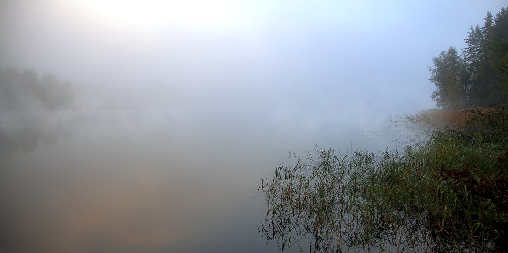 Photograph by Александр Игнатьев