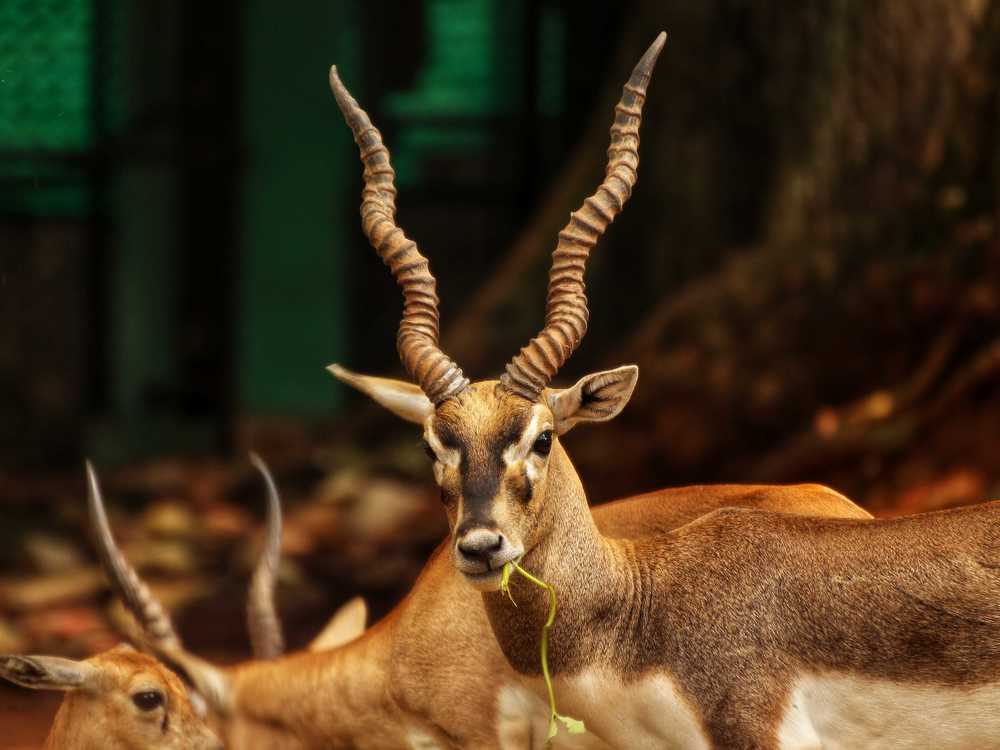 Photograph by Seethal Jose Anu