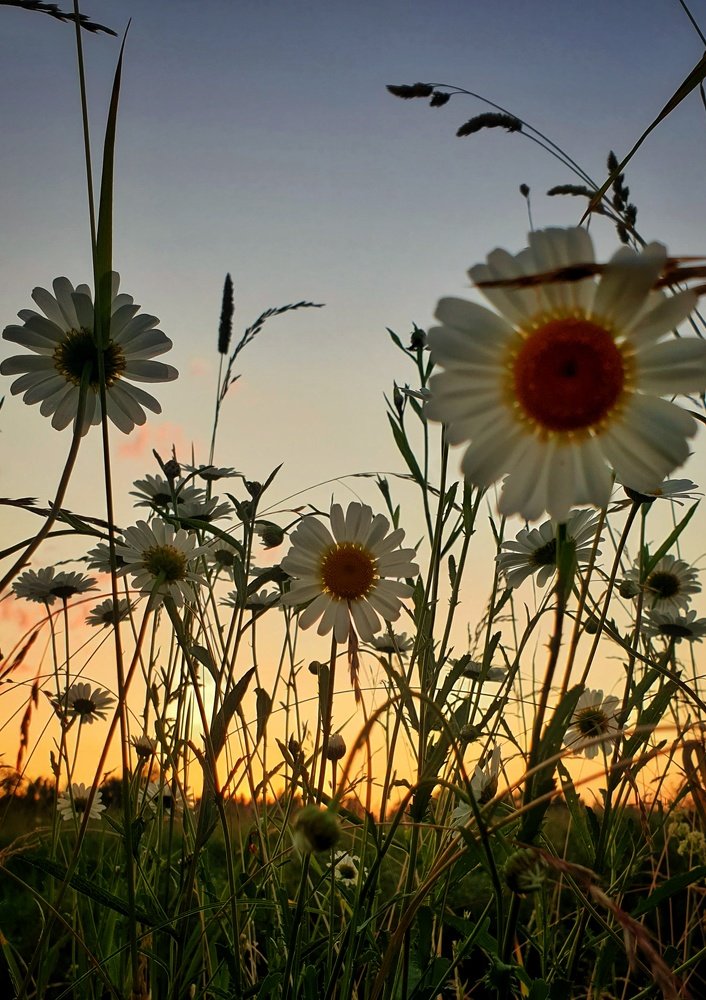 Photograph by Александр Мокеев