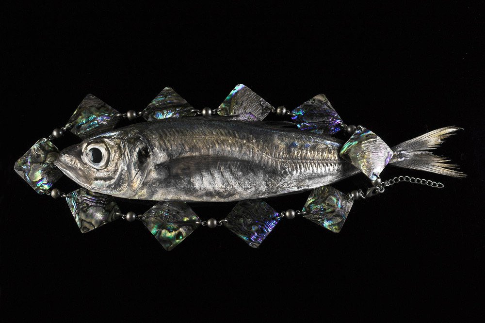 Photograph by Olena Leliuk