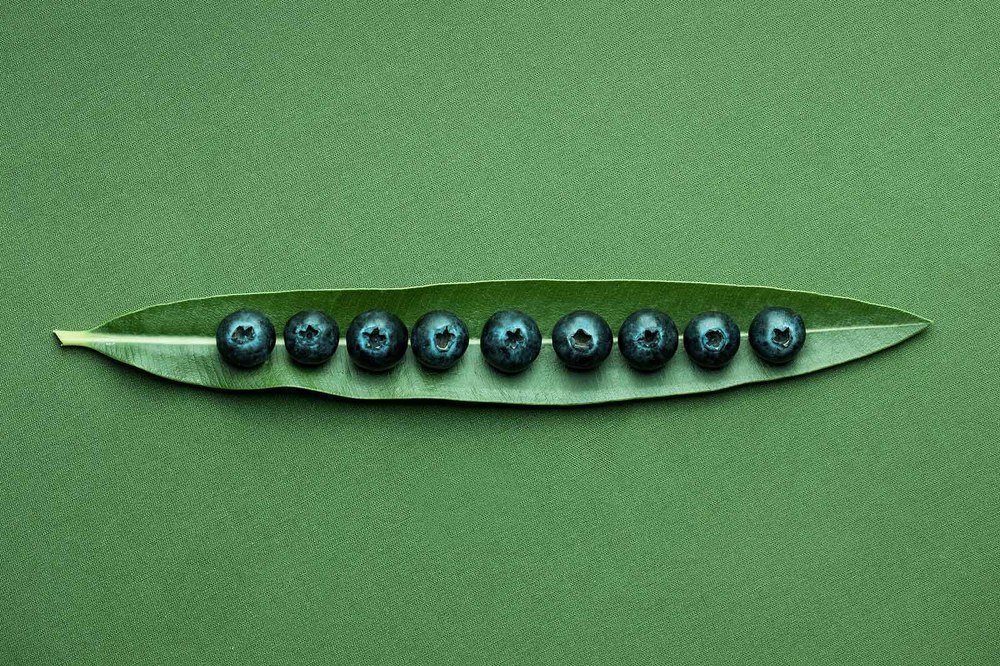 Photograph by Olena Leliuk