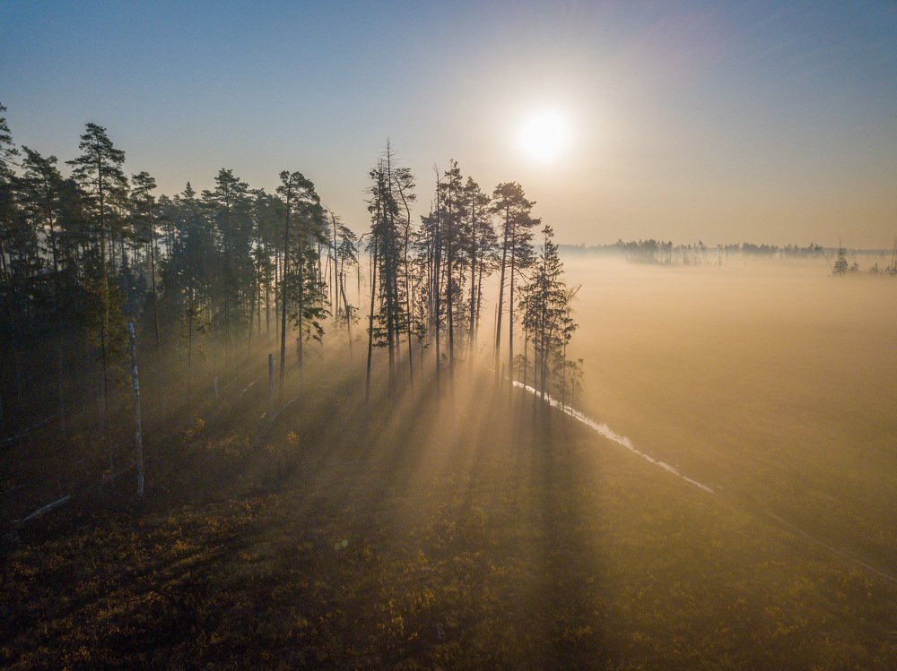 Туманный рассвет