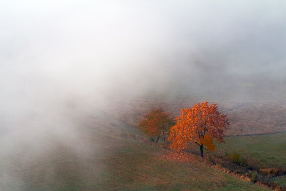 Photograph by Iza i Darek Mitręga