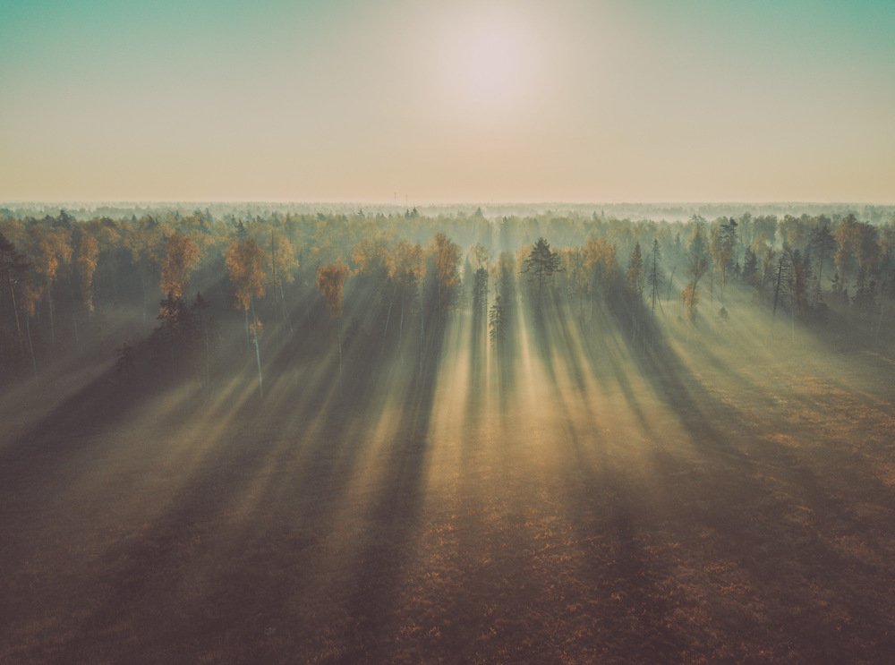 Photograph by Сергей Фаренюк