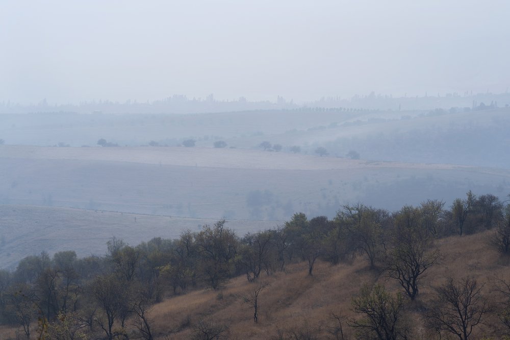 Photograph by Дарья Павликова