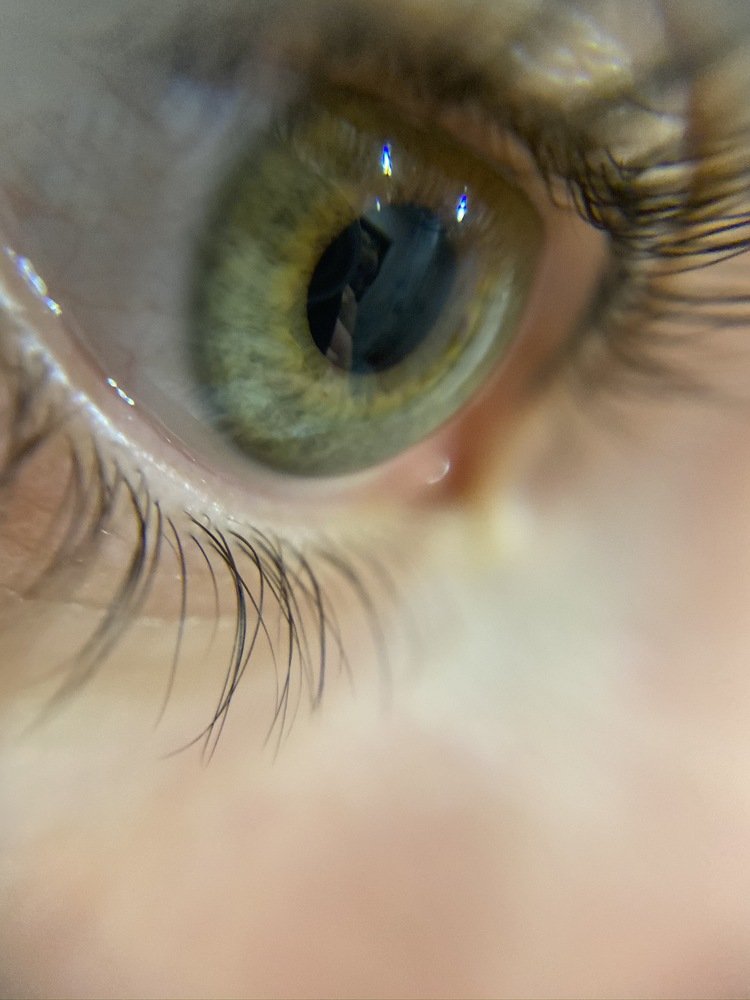 Photograph by Tamara Sulzhik