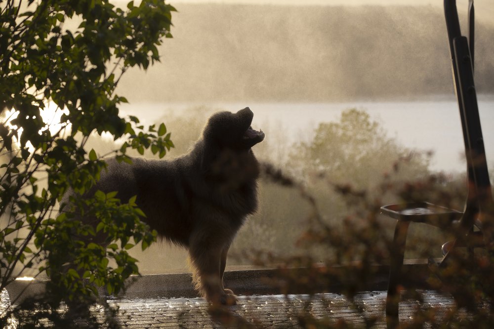 Photograph by Андрей Ларин