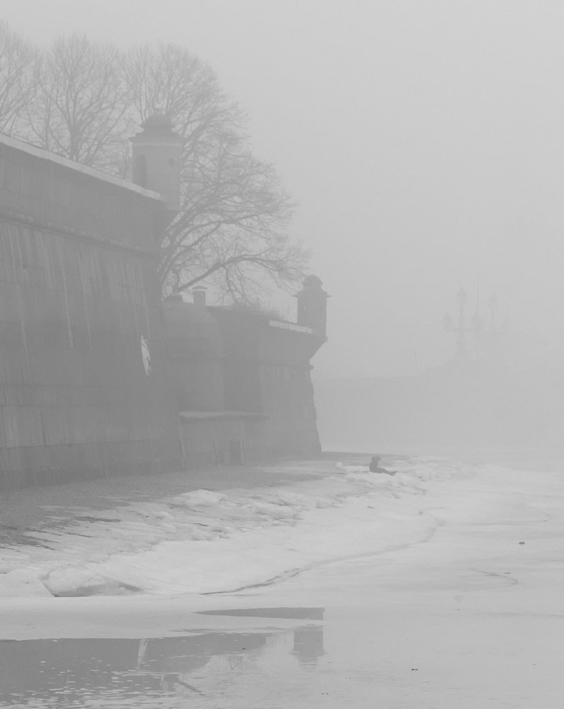 Photograph by Светлана Воробьёва