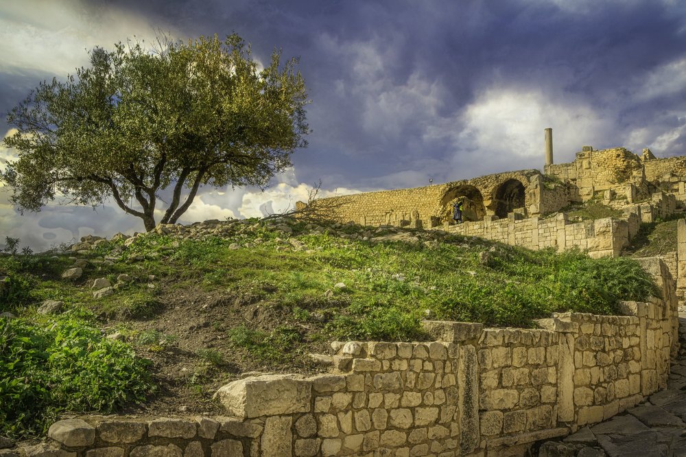 Photograph by Krabaa Mohamed Anis