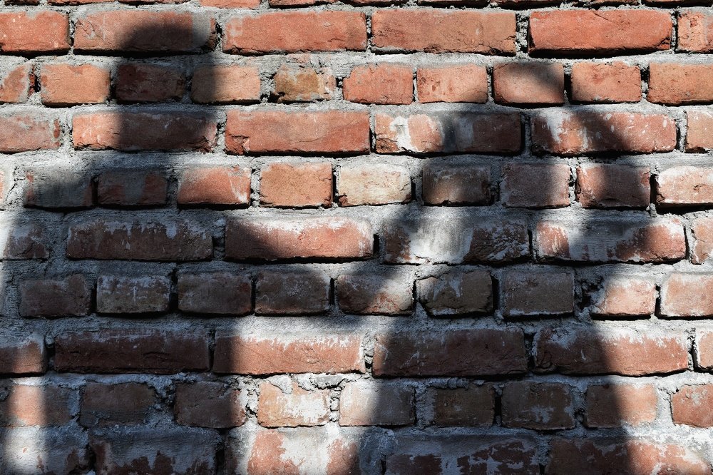 Photograph by Md Mehedi Hassan Anonto