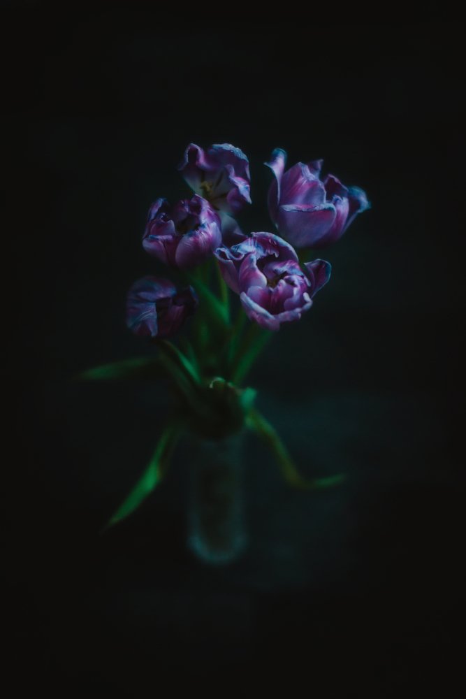 Photograph by Ольга Могдалёва