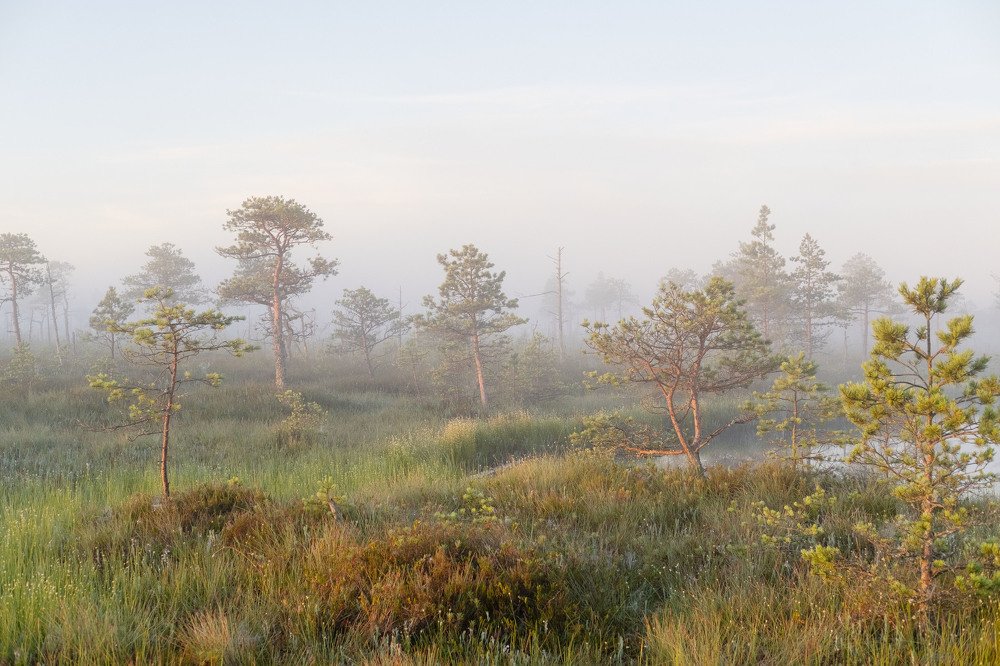 Photograph by Ирина Баранова